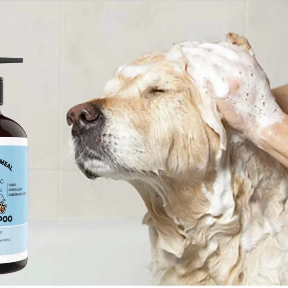 Dog Oatmeal Shampoo Pump Bottle 16oz for Cats, Puppies & Kittens